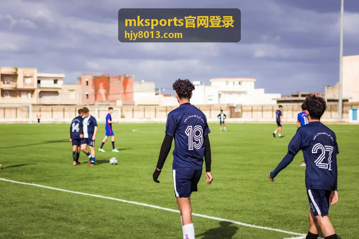mksports官网登录常见问题处理与排查顺序示意