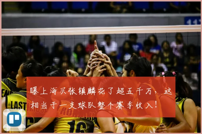 曝上海买张镇麟花了超五千万,这相当于一支球队整个赛季收入!