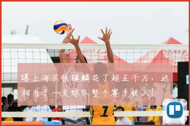 曝上海买张镇麟花了超五千万，这相当于一支球队整个赛季收入！
