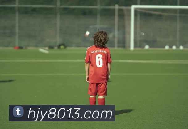 ayx官网iosAPP 封面图